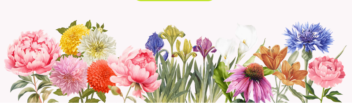 [Людмила Гиевая] Многолетники_ создание малоуходны_0.png